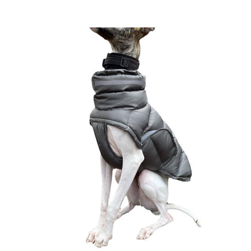 Veste pour Chien Renforcée
