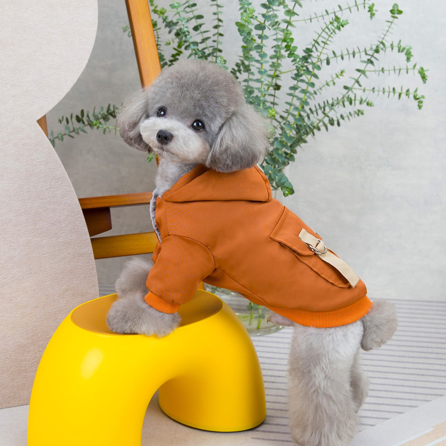 Vêtements pour Chien et Chat : Sweater Mignon à Deux Pattes en Coton - Style Frais et Décontracté