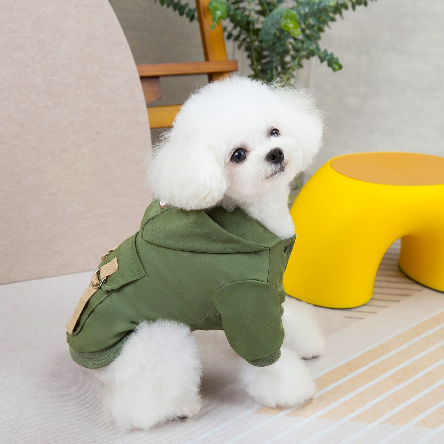 Vêtements pour Chien et Chat : Sweater Mignon à Deux Pattes en Coton - Style Frais et Décontracté