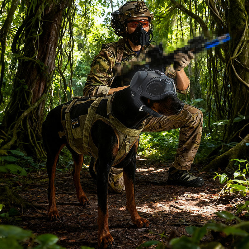 Casque tactique K9 pour chien – Entraînement, chasse &amp; accessoires de tournage