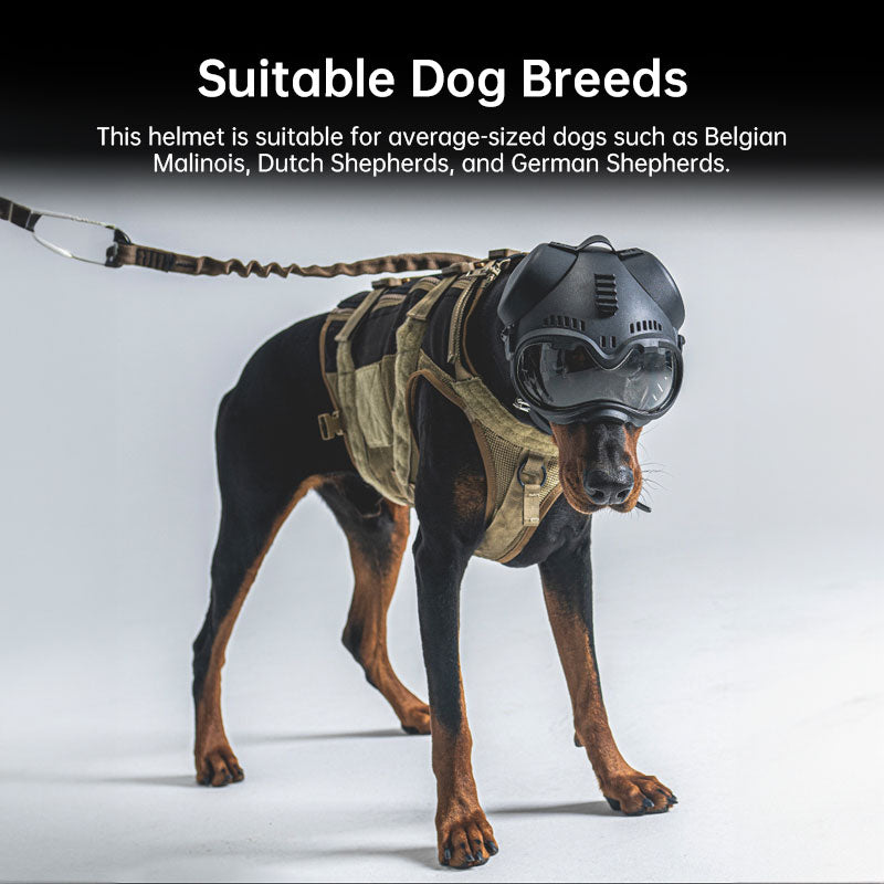 Casque tactique K9 pour chien – Entraînement, chasse &amp; accessoires de tournage