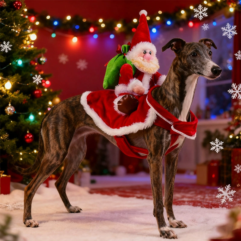 Costume de Noël amusant pour chien – Père Noël cavalier