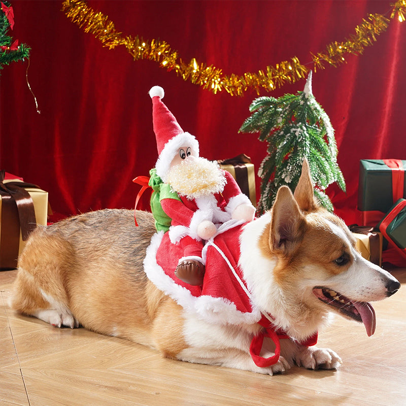 Costume de Noël amusant pour chien – Père Noël cavalier