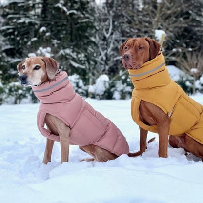 Veste pour Chien Renforcée