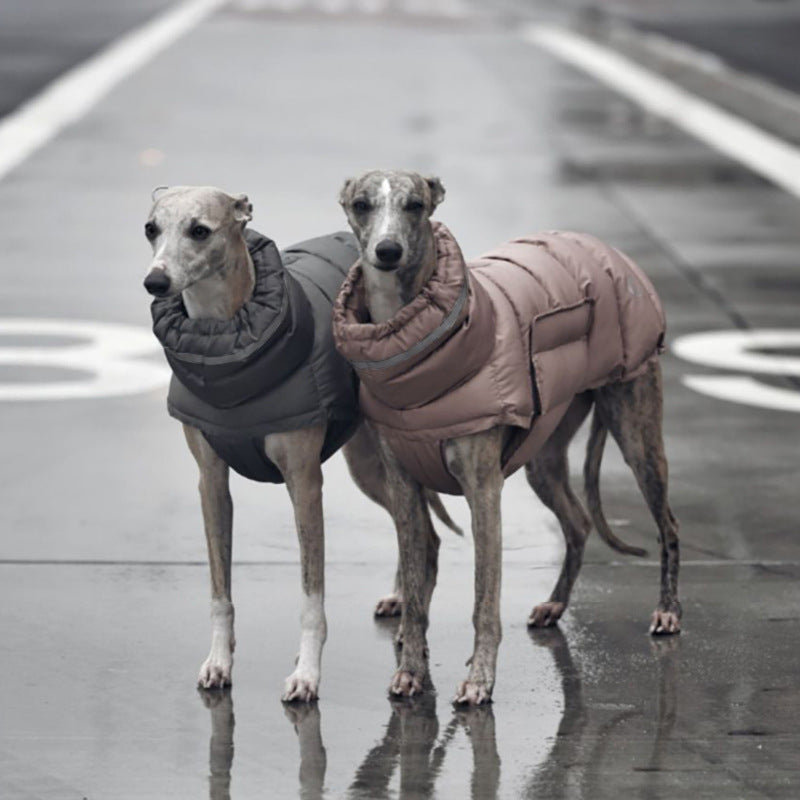 Veste pour Chien Renforcée