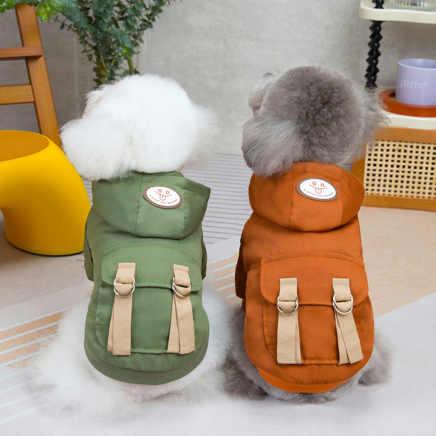 Vêtements pour Chien et Chat : Sweater Mignon à Deux Pattes en Coton - Style Frais et Décontracté