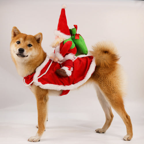 Costume de Noël amusant pour chien – Père Noël cavalier