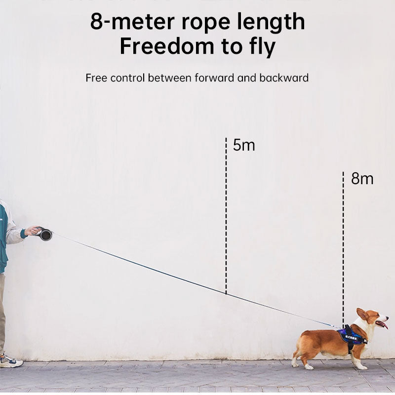 Laisse Rétractable pour Chien (5m/8m, capacité 50kg) –