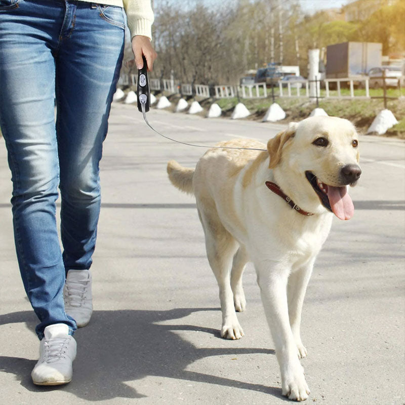 Laisse Rétractable pour Chien (5m/8m, capacité 50kg) –